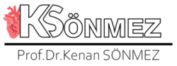 kenanlogo renkli e1734526499871