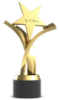 award_1_1 1 1