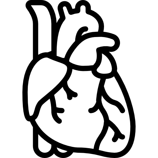 heart 1